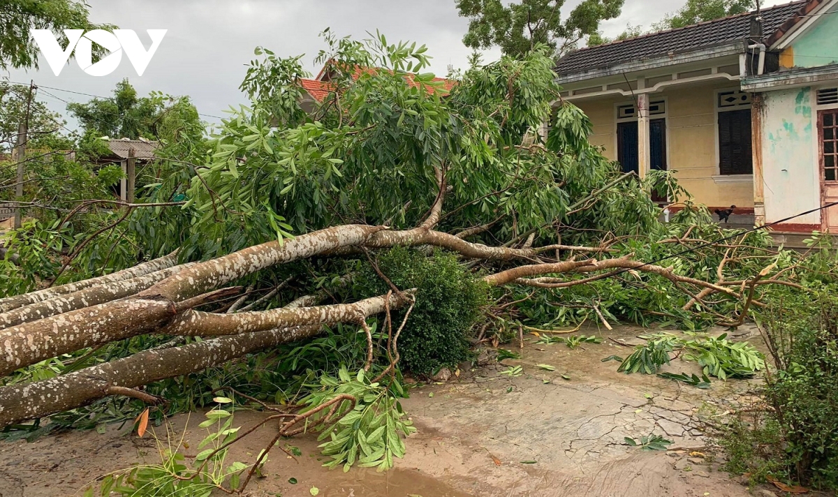 Storm Noul death toll rises to 6, Thua Thien-Hue hardest hit